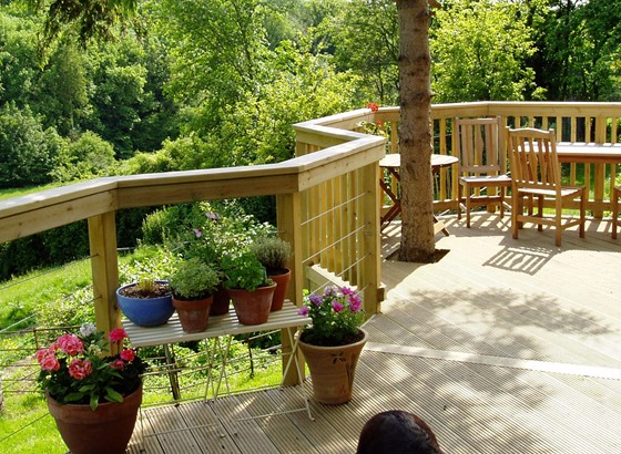 Plant Pots On My Deck