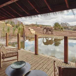 Gripsure Safari Park (1)