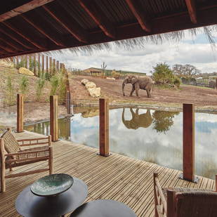 Gripsure Safari Park deck veranda