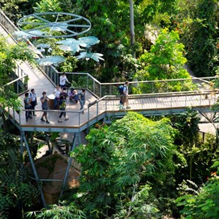 Gripsure Decking Walkway